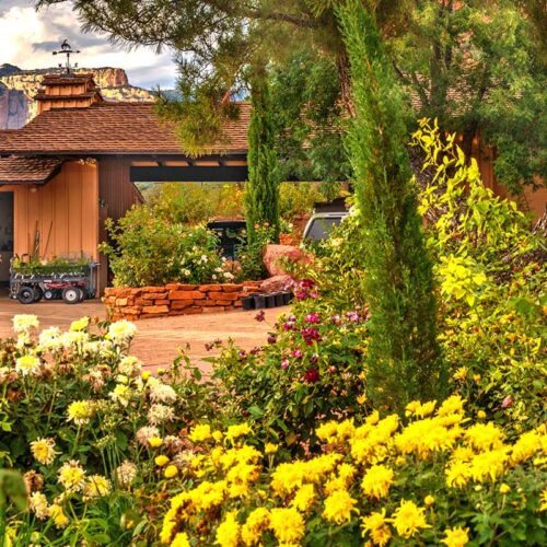 Sedona Lago | Unlocking the Potential for Young Adults with Autism